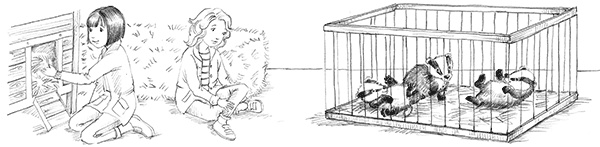 Иллюстрация к книге — Барсучонок Лотти, или Потерянный сон [i_005.jpg]