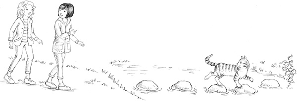 Иллюстрация к книге — Барсучонок Лотти, или Потерянный сон [i_006.jpg]