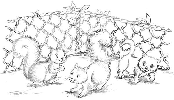 Иллюстрация к книге — Барсучонок Лотти, или Потерянный сон [i_009.jpg]