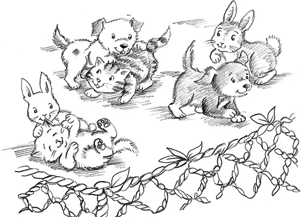 Иллюстрация к книге — Барсучонок Лотти, или Потерянный сон [i_010.jpg]