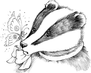 Иллюстрация к книге — Барсучонок Лотти, или Потерянный сон [i_025.jpg]