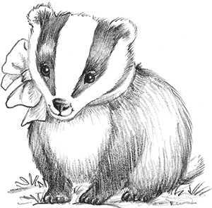 Иллюстрация к книге — Барсучонок Лотти, или Потерянный сон [i_045.jpg]