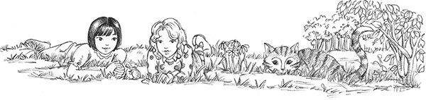 Иллюстрация к книге — Барсучонок Лотти, или Потерянный сон [i_052.jpg]