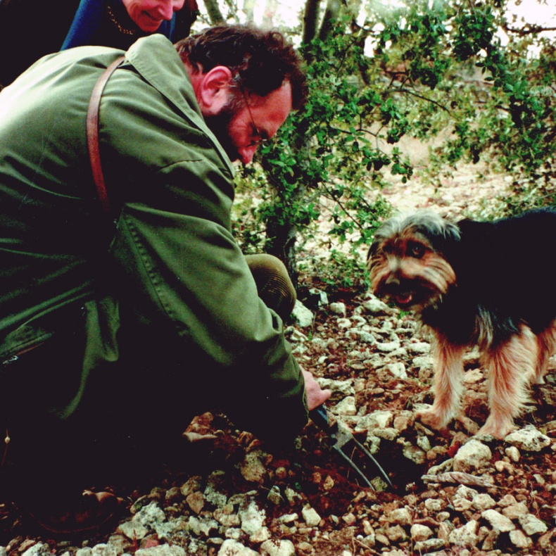 Иллюстрация к книге — Мои двадцать пять лет в Провансе [i_034.jpg]