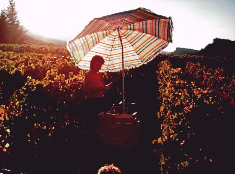 Иллюстрация к книге — Мои двадцать пять лет в Провансе [i_035.jpg]