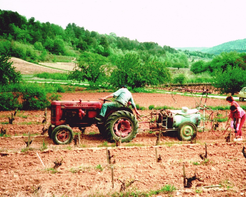 Иллюстрация к книге — Мои двадцать пять лет в Провансе [i_039.jpg]