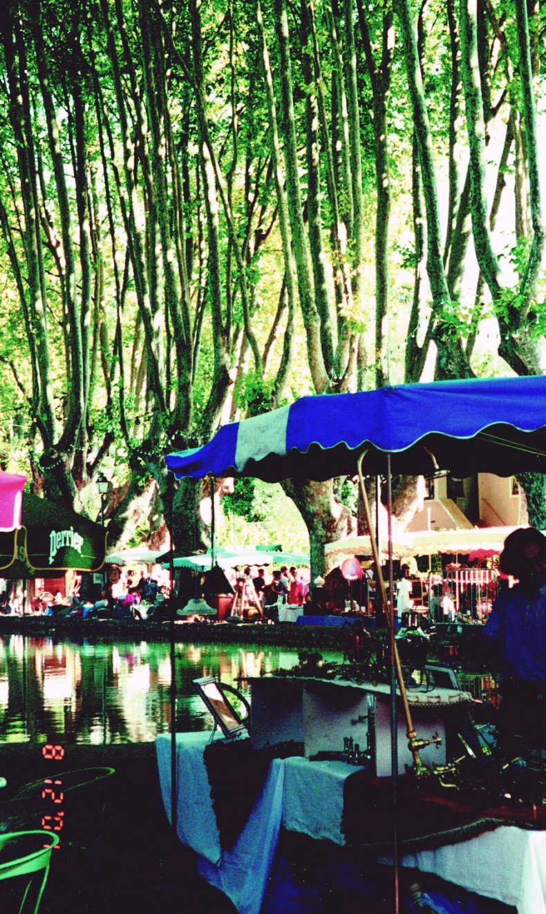 Иллюстрация к книге — Мои двадцать пять лет в Провансе [i_041.jpg]