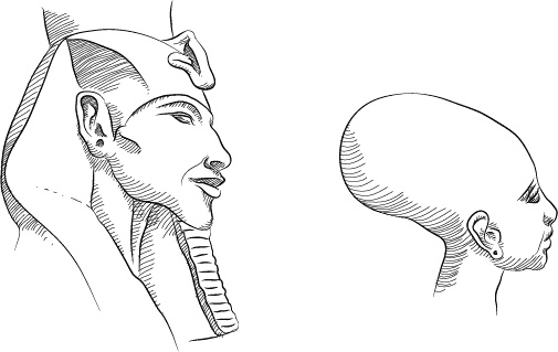 Иллюстрация к книге — Невероятная случайность бытия. Эволюция и рождение человека [i_026.jpg]