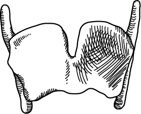 Иллюстрация к книге — Невероятная случайность бытия. Эволюция и рождение человека [i_041.jpg]