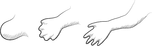 Иллюстрация к книге — Невероятная случайность бытия. Эволюция и рождение человека [i_076.jpg]