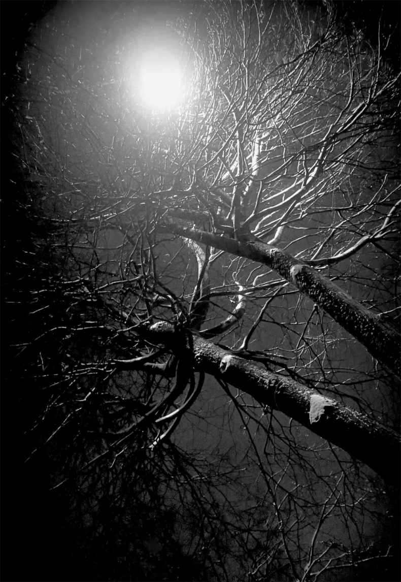 Иллюстрация к книге — Все сказки старого Вильнюса. Начало [i_001.jpg]