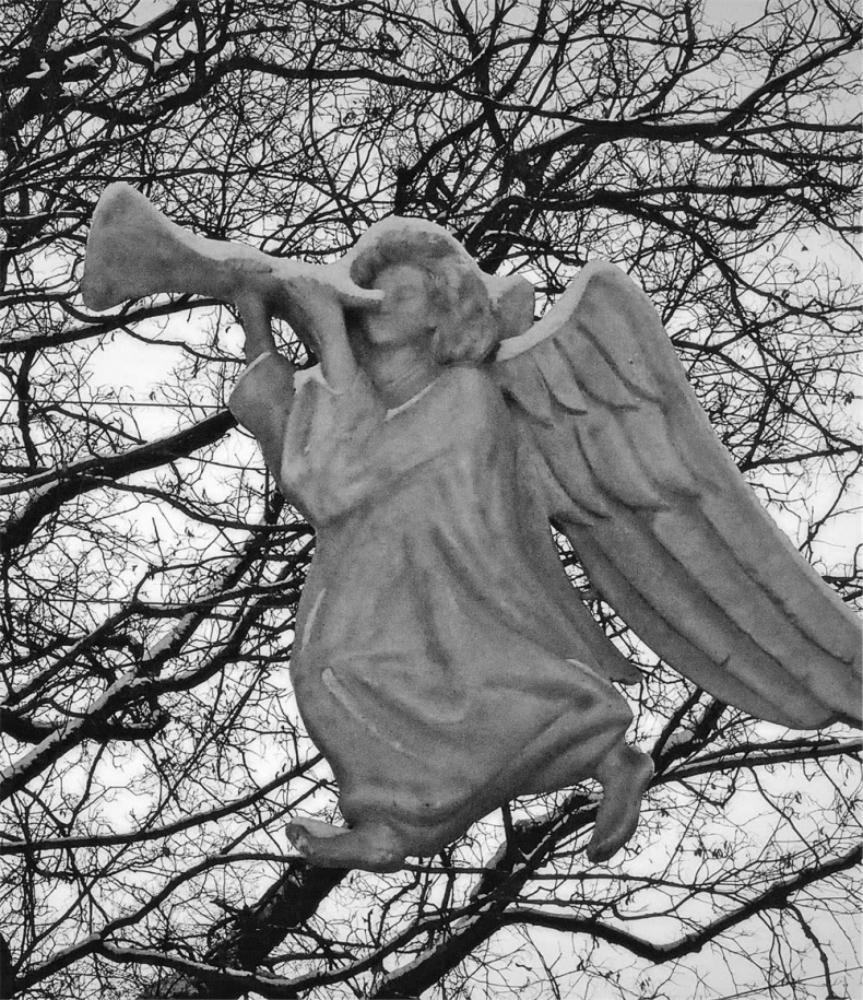 Иллюстрация к книге — Все сказки старого Вильнюса. Начало [i_002.jpg]