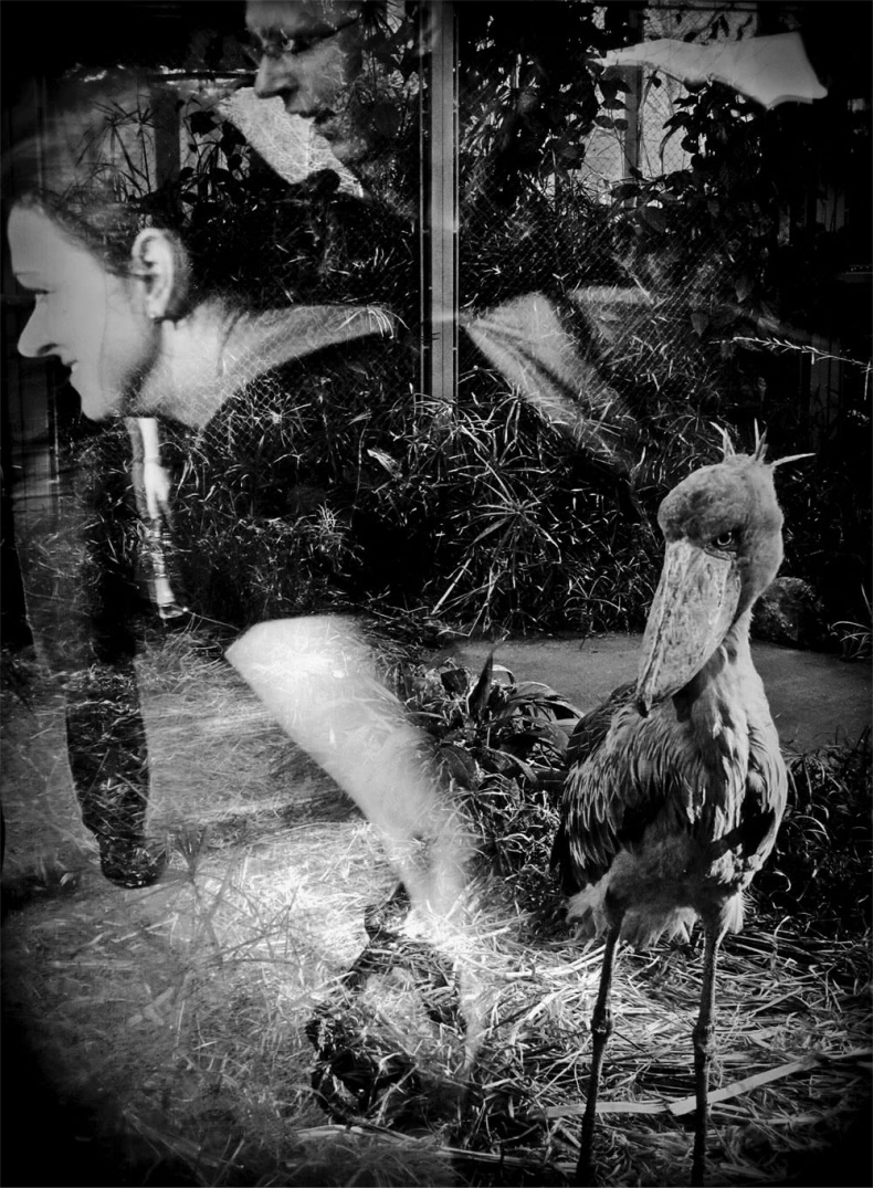 Иллюстрация к книге — Все сказки старого Вильнюса. Начало [i_003.jpg]