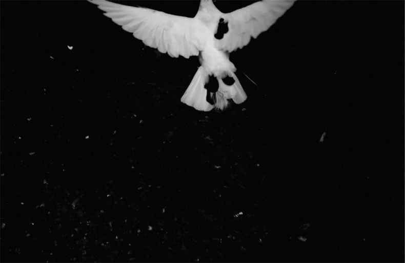 Иллюстрация к книге — Все сказки старого Вильнюса. Начало [i_021.jpg]