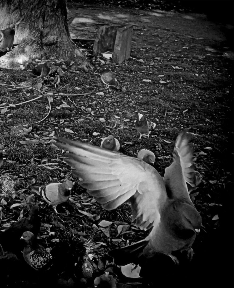 Иллюстрация к книге — Все сказки старого Вильнюса. Начало [i_032.jpg]