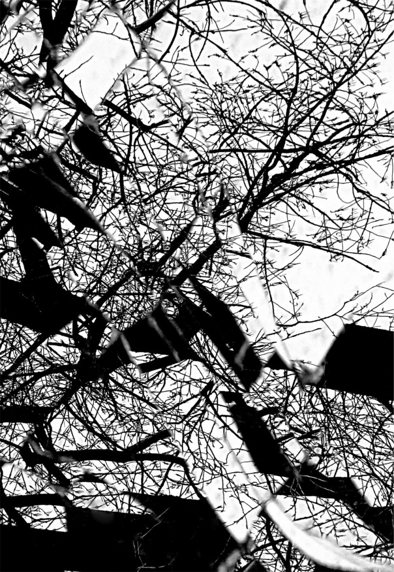 Иллюстрация к книге — Все сказки старого Вильнюса. Начало [i_037.jpg]