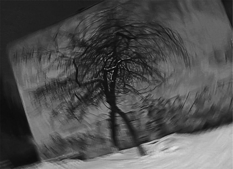 Иллюстрация к книге — Все сказки старого Вильнюса. Начало [i_048.jpg]