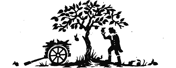 Иллюстрация к книге — Краткая история науки [i_017.jpg]