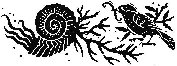 Иллюстрация к книге — Краткая история науки [i_026.jpg]