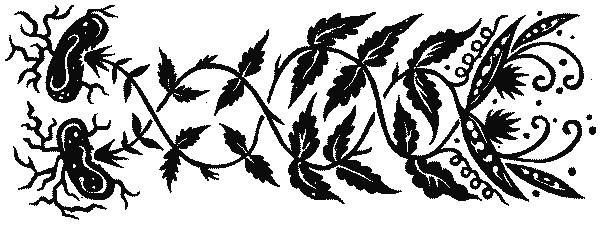 Иллюстрация к книге — Краткая история науки [i_035.jpg]