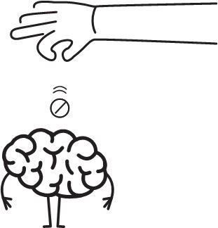 Иллюстрация к книге — Беги, мозг, беги! Как с помощью тренировок помочь мозгу стать креативнее, думать быстрее и перестать нервничать [i_005.jpg]