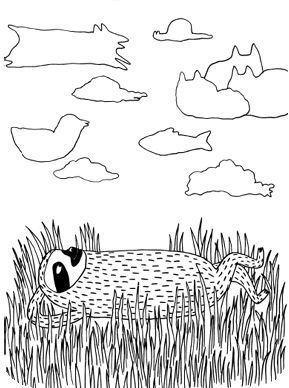 Иллюстрация к книге — Живи как ленивец. Уроки целительного пофигизма от самых счастливых созданий на Земле  [i_007.jpg]