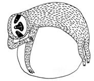 Иллюстрация к книге — Живи как ленивец. Уроки целительного пофигизма от самых счастливых созданий на Земле  [i_026.jpg]