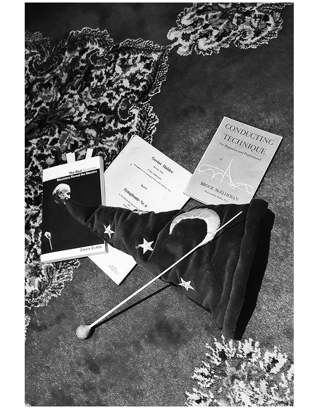 Иллюстрация к книге — Маэстро и их музыка. Как работают великие дирижеры [i_001.jpg]