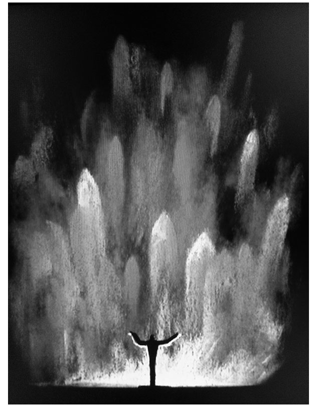 Иллюстрация к книге — Маэстро и их музыка. Как работают великие дирижеры [i_020.jpg]