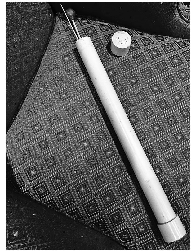 Иллюстрация к книге — Маэстро и их музыка. Как работают великие дирижеры [i_025.jpg]