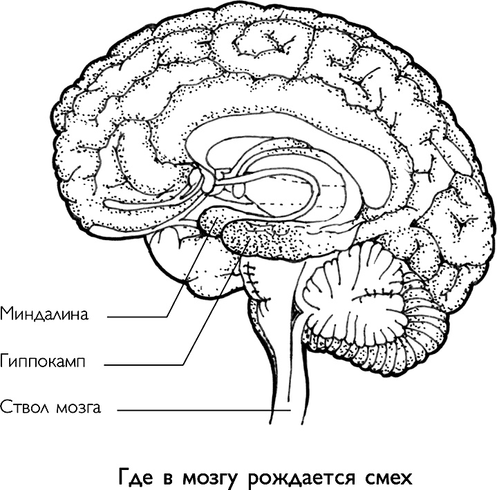 Иллюстрация к книге — Ответ. Проверенная методика достижения недостижимого  [i_016.jpg]