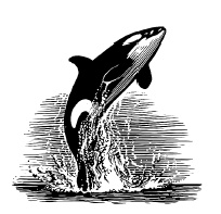 Иллюстрация к книге — Лед [i_003.jpg]