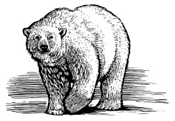 Иллюстрация к книге — Лед [i_004.jpg]