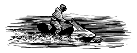 Иллюстрация к книге — Лед [i_011.jpg]