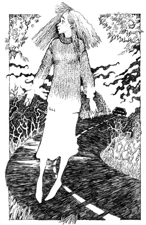 Иллюстрация к книге — Дом за порогом. Время призраков [i_016.jpg]