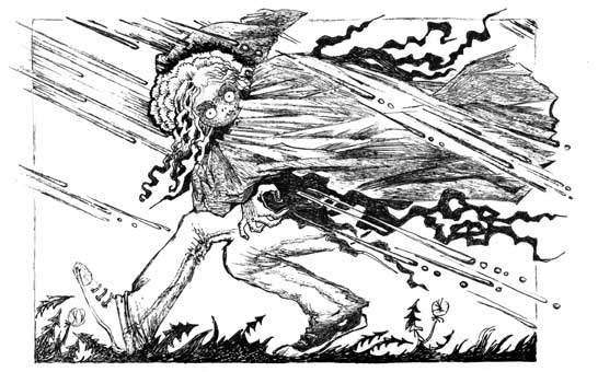 Иллюстрация к книге — Дом за порогом. Время призраков [i_029.jpg]