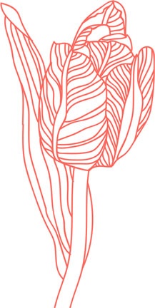 Иллюстрация к книге — Я манипулирую тобой. Методы противодействия скрытому влиянию [i_022.jpg]