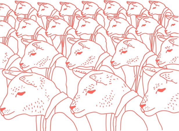 Иллюстрация к книге — Я манипулирую тобой. Методы противодействия скрытому влиянию [i_085.jpg]