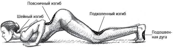 Иллюстрация к книге — Йога тонкого тела. Руководство по физической и энергетической анатомии йоги [i_007.jpg]