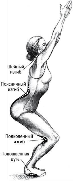 Иллюстрация к книге — Йога тонкого тела. Руководство по физической и энергетической анатомии йоги [i_008.jpg]