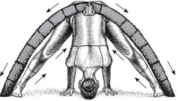 Иллюстрация к книге — Йога тонкого тела. Руководство по физической и энергетической анатомии йоги [i_018.jpg]