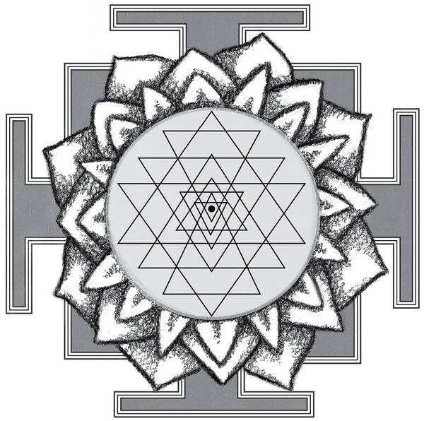 Иллюстрация к книге — Йога тонкого тела. Руководство по физической и энергетической анатомии йоги [i_023.jpg]