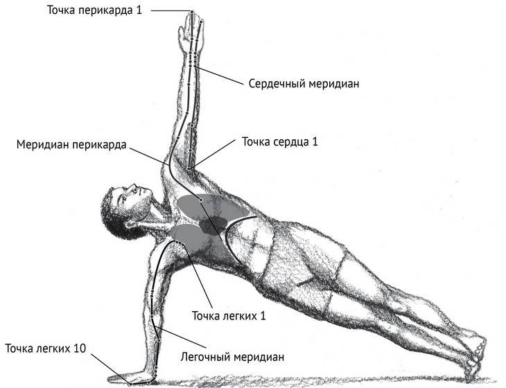 Иллюстрация к книге — Йога тонкого тела. Руководство по физической и энергетической анатомии йоги [i_032.jpg]