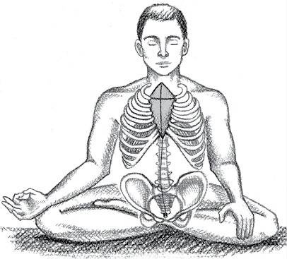 Иллюстрация к книге — Йога тонкого тела. Руководство по физической и энергетической анатомии йоги [i_037.jpg]