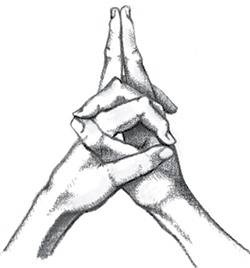 Иллюстрация к книге — Йога тонкого тела. Руководство по физической и энергетической анатомии йоги [i_039.jpg]