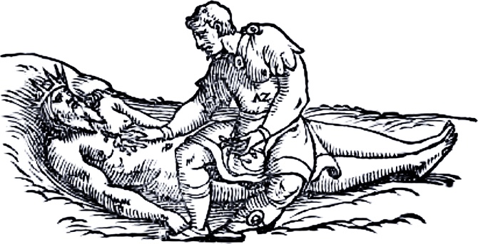 Иллюстрация к книге — Память крови  [_03.jpg]