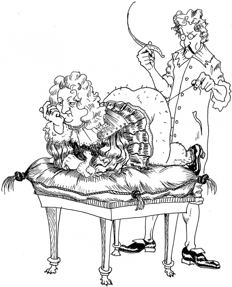 Иллюстрация к книге — Wow, anus! Неожиданные откровения о том самом месте [i_013.jpg]