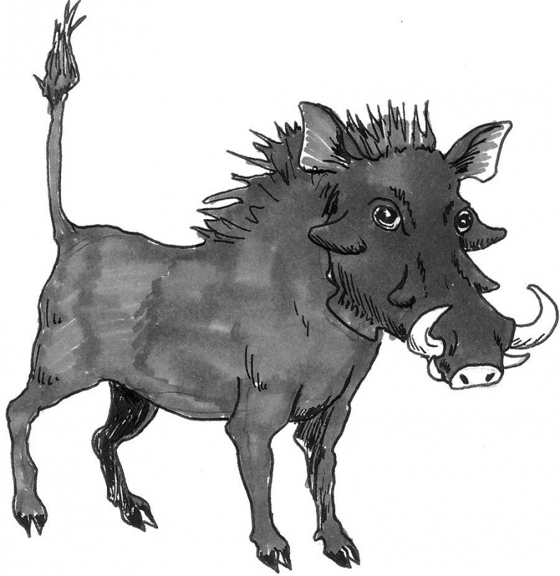 Иллюстрация к книге — Wow, anus! Неожиданные откровения о том самом месте [i_023.jpg]