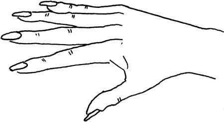 Иллюстрация к книге — Wow, anus! Неожиданные откровения о том самом месте [i_031.jpg]