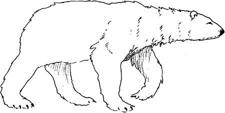 Иллюстрация к книге — Wow, anus! Неожиданные откровения о том самом месте [i_035.jpg]